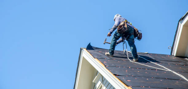 Best New Roof Installation  in Chisago City, MN